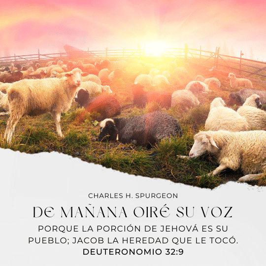 Porque la porción de Jehová es su pueblo; Jacob la heredad que le tocó.