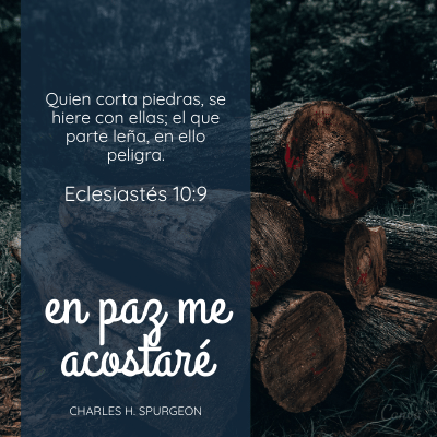 Quien corta piedras, se hiere con ellas; el que parte leña, en ello peligra.