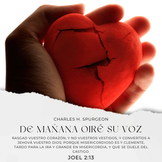 Rasgad vuestro corazón, y no vuestros vestidos, y convertíos a Jehová vuestro Dios; porque misericordioso es y clemente, tardo para la ira y grande en misericordia, y que se duele del castigo.