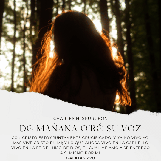 Con Cristo estoy juntamente crucificado, y ya no vivo yo, mas vive Cristo en mí; y lo que ahora vivo en la carne, lo vivo en la fe del Hijo de Dios, el cual me amó y se entregó a sí mismo por mí.