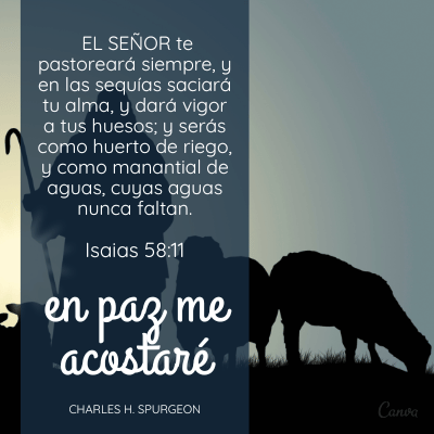  Jehová te pastoreará siempre, y en las sequías saciará tu alma, y dará vigor a tus huesos; y serás como huerto de riego, y como manantial de aguas, cuyas aguas nunca faltan.