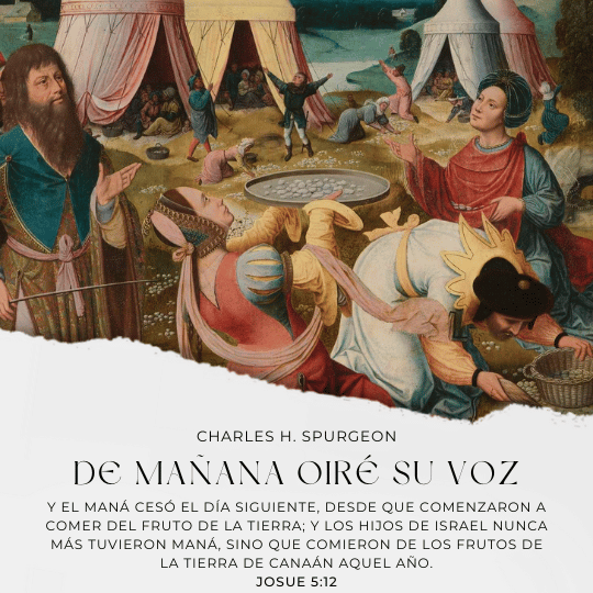 Y el maná cesó el día siguiente, desde que comenzaron a comer del fruto de la tierra; y los hijos de Israel nunca más tuvieron maná, sino que comieron de los frutos de la tierra de Canaán aquel año.