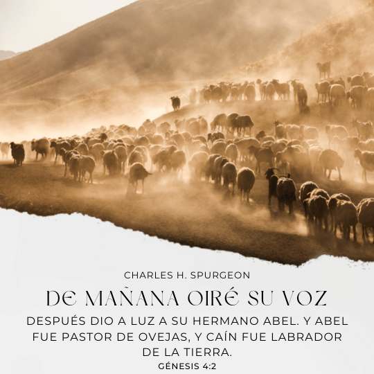 Después dio a luz a su hermano Abel. Y Abel fue pastor de ovejas, y Caín fue labrador de la tierra.