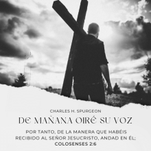  Por tanto, de la manera que habéis recibido al Señor Jesucristo, andad en él;