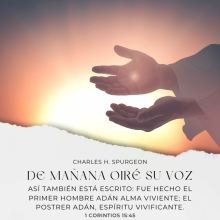 Así también está escrito: Fue hecho el primer hombre Adán alma viviente; el postrer Adán, espíritu vivificante.