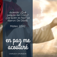 diciendo: ¿Qué pensáis del Cristo? ¿De quién es hijo? Le dijeron: De David.